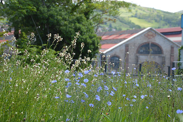 Parc Novacieries